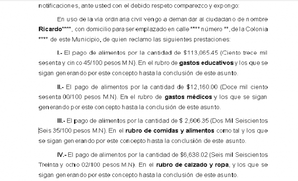 Demanda de alimentos con medidas precautorias - Image 2